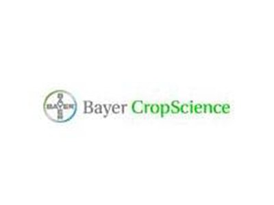 �ݶ�����